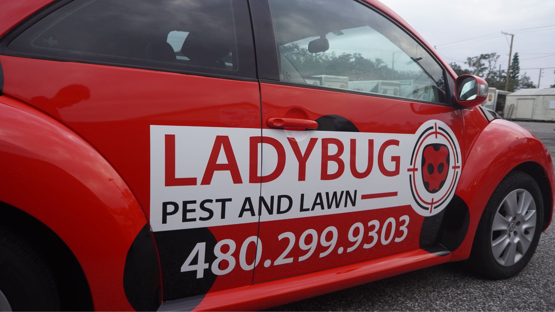 Lady Bug Tampa Auto Wraps