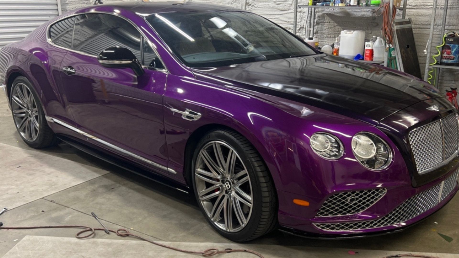 Purple Bentley