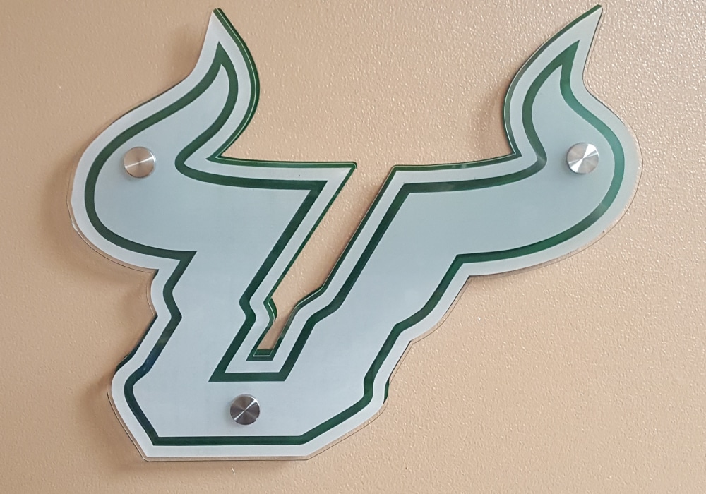 USF Bulls Custom Sign